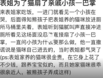 表姐为了猫扇了亲戚小孩一巴掌