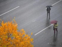 北京强降温来袭 降雨大风齐上阵