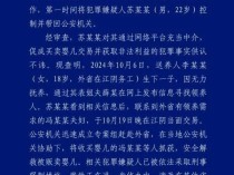 为何隔夜报警？卧底贩婴现场志愿者回应 取证后立即报警