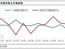 四季度猪价决定养猪业明年是肥是瘦 多空决胜负