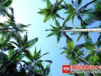 好天气开启11月！广西维持晴朗干燥，下雨要等到3日