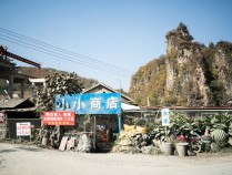 东北雨姐将猫狗遗留在拍摄基地 动物仍受照料