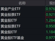 
          
            黄金股早盘走弱，多只相关ETF跌逾3%
        