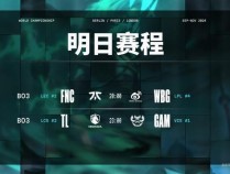 WBG对战FNC 生死局的焦点之战