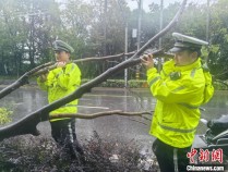 台风“康妮”携风裹雨 上海部分公交停运、轮渡停航