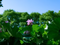 霜降时节如何防范疾病 专家支招防病养生