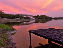 “治湖泊”到“治流域”，乌梁素海换新颜