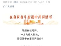 家有奔驰宝马，夫妻各开一辆，丈夫欠钱要将妻子宝马也卖掉还债？法院驳回