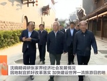 25亿修建的古城日均卖票不足20张！大庸古城持续亏损引发湖南省委书记高度重视，现场步行察看