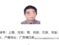 广西博白征集犯罪团伙线索，85岁老人涉案引关注，警方：他涉案是过去犯下的