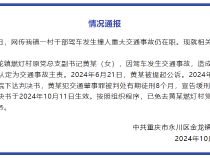 重庆一村干部驾车发生撞人重大交通事故仍在职？当地通报详情