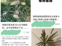 网络流行狗尾巴草祛痣引模仿，可能误伤皮肤组织或掩盖病变 缺乏科学依据