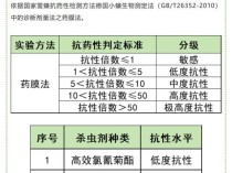 广东蟑螂已进化？疾控中心回应