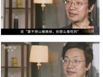 原来冰墩墩原型是奥组委疯狂暗示的 黑眼圈背后的共鸣