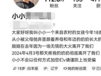 百万网红让亲妈演养母卖惨牟利被抓 虚假人设博同情