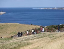 疑似关联过度旅游 韩国济州岛附近死海豚增多