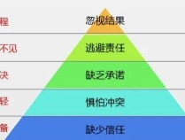 如何提升团队协作力？职场新人速看→