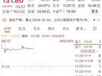 
          
            首日大涨超500%，新股罕见因“下跌”临停，发生了什么？
        