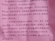 淳安汾口镇全域猎捕野猪，老猎户说这一次捕了十来头，最大的200多斤