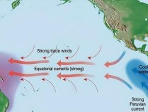 超80%！太平洋深处持续偏冷，拉尼娜马上来！网友：冬天很冷吗？