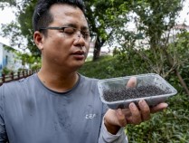 广州峡石村通过放飞大量“益蚊”控制伊蚊种群密度，七年未发生一例登革热病例