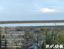 男子用20天挖了个大水塘，竟为了捕捞野鸭