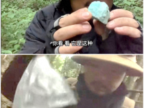 为何不能擅自去哀牢山深处探险 管护局警告罚款五千