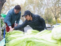 东北人囤菜有多震撼 秋菜堆积如山