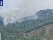 广东江门开平突发山火 火势已初步控制