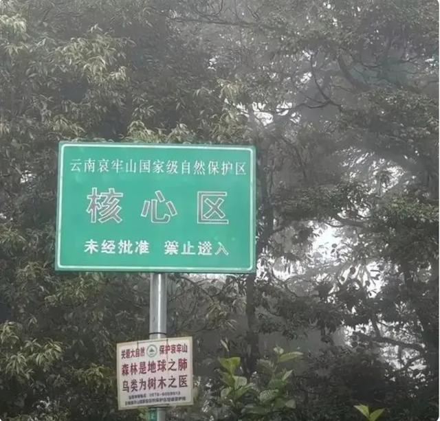 哀牢山旅行是否安全？官方回应 切勿贸然前往，安全第一