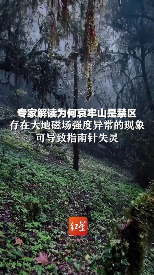 为什么说哀牢山是神秘又危险的禁区