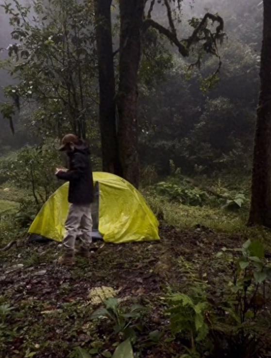 露营哀牢山女博主道歉