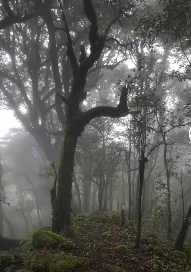 地质工作者眼中哀牢山