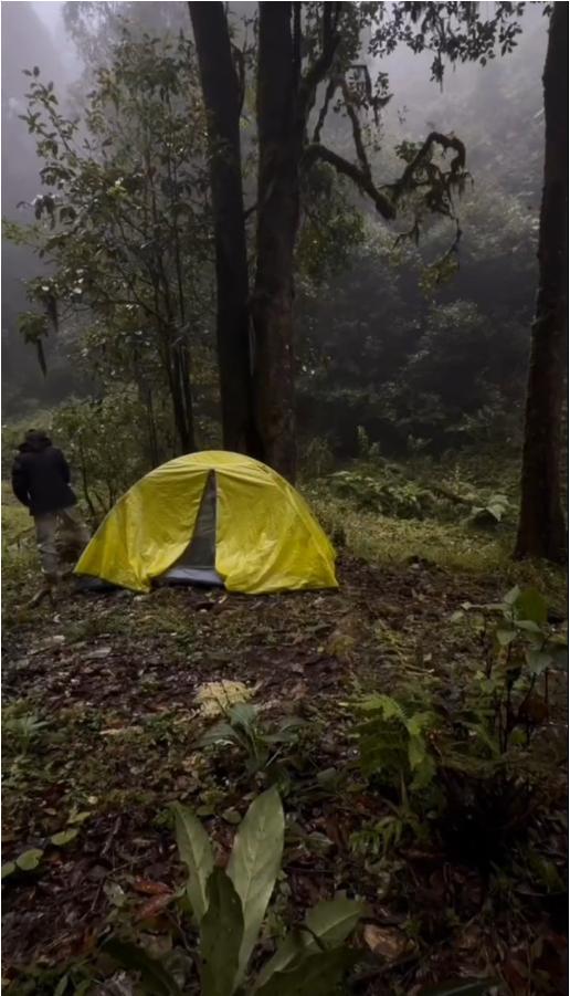 调查人员称哀牢山禁入公告前年就有