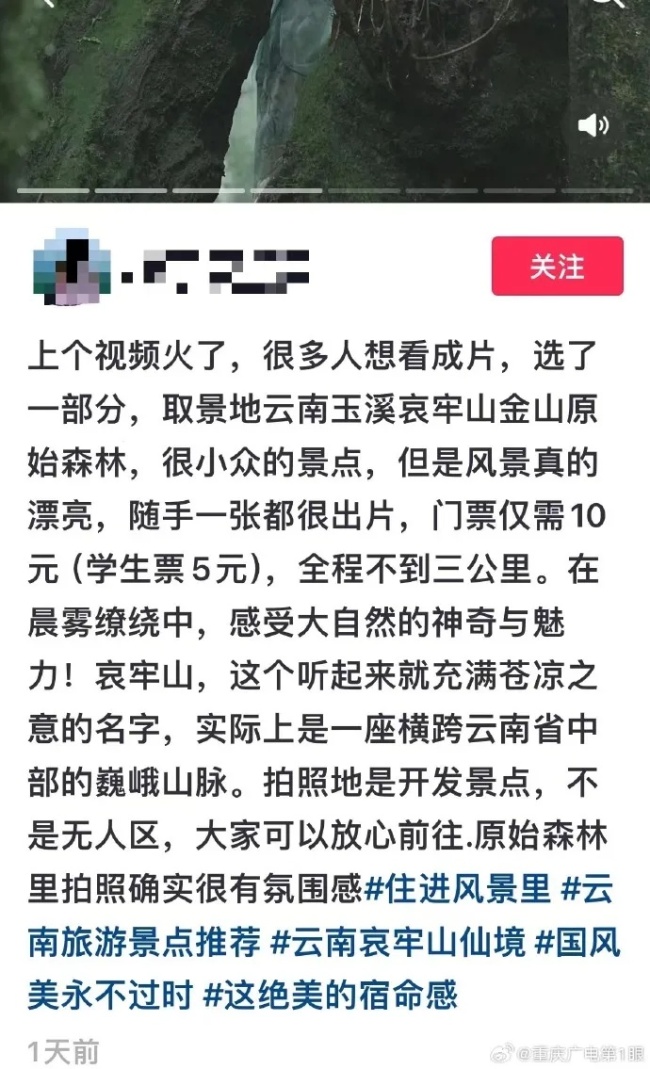 女博主露营哀牢山将被调查！途经的保护区严禁擅闯，官方回应