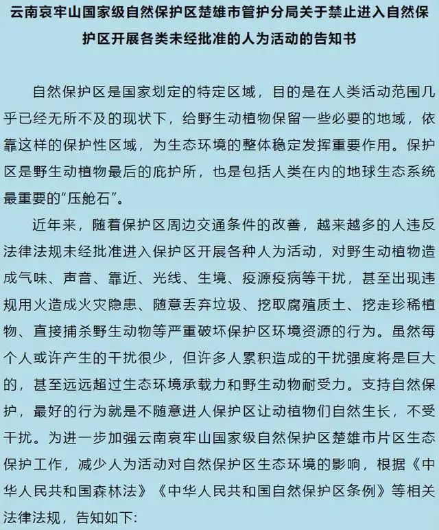 女博主露营哀牢山将被调查！途经的保护区严禁擅闯，官方回应 违者最高罚5000元