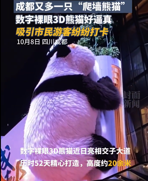 成都又多一只巨巨巨大的熊猫 吸引不少市民游客前来观看