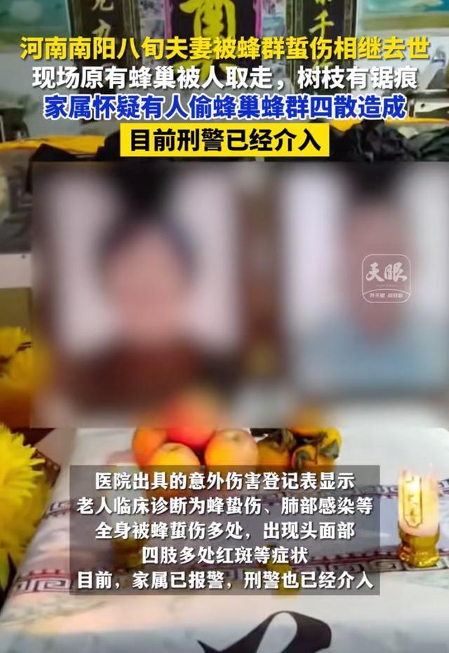 南阳一对八旬夫妇被蜇伤去世