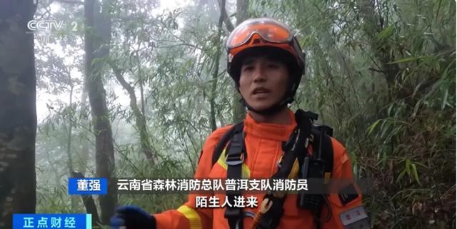 哀牢山里走着走着就遭遇浓雾 原始森林冒险需谨慎