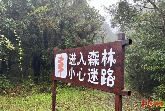 哀牢山向导称未来半月徒步团已报满 迷路后失温才是最大危险因素