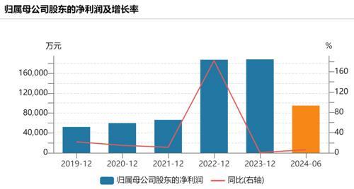 爱玛科技董事长被留置 公司运营正常，面临营收放缓挑战