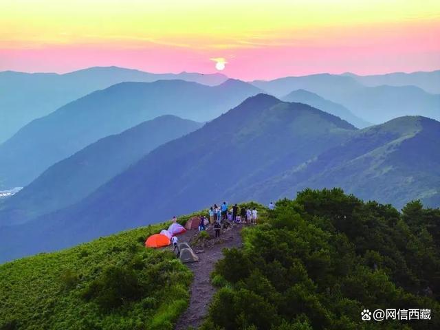 你现在还常发朋友圈吗 你为什么不爱发朋友圈了