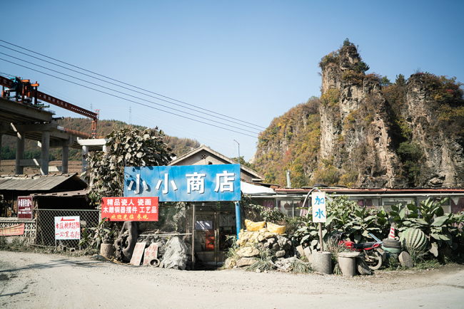 东北雨姐将猫狗遗留在拍摄基地