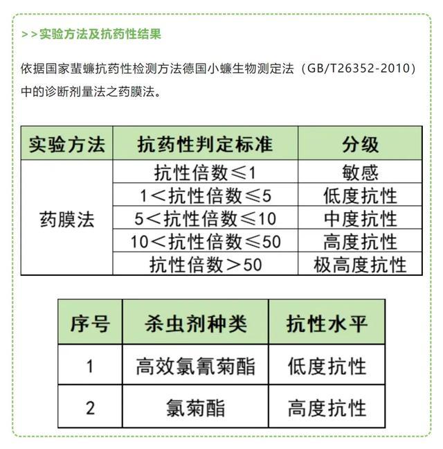 广东蟑螂已进化？疾控中心回应