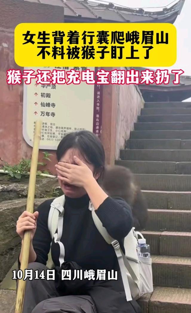 女生被峨眉山猴子翻包气哭