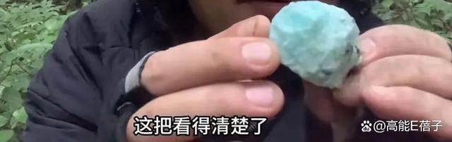 现实版云南虫谷里有什么 探险博主揭秘哀牢山之谜