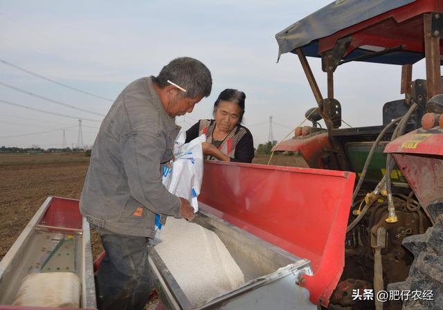 大范围降雨降温来了 小麦播种咋应对？ 结合墒情巧播种