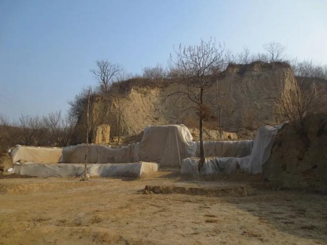 河南发现距今5000年大墓 出土350余件遗物揭示古国文明