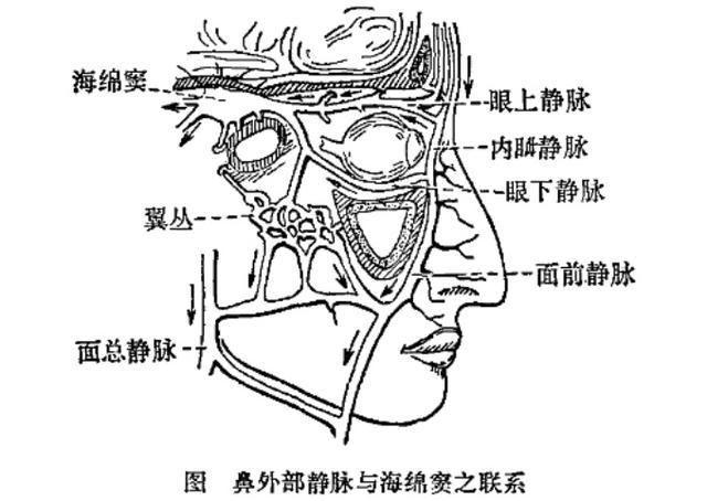 医生提醒火爆全网的向佐手势尽量别做 或引发健康风险