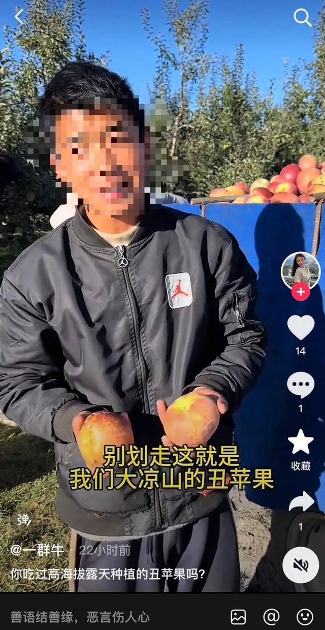 哥哥读北大弟弟辍学卖苹果？摆拍卖惨！博主每天给200元拍摄 虚假剧本引争议